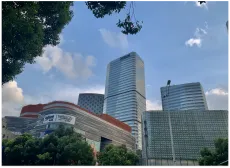 杭知桥上海分所前台展示